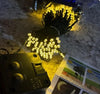 ☀️✨ Luces Solares LED Decorativas 2X1 | 🎛️ Control Remoto | 💡 8 Modos de Iluminación | 🌙 Encendido Automático | 🔋 Batería Recargable 1200mAh | 🌧️ IP65 Resistentes al Clima | 🎄 Ideales para Jardín, Terraza y Navidad