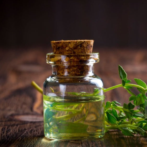 🌿 Aceite de Orégano + Semilla Negra | 90 Cápsulas | 6.000 mg por Porción | Carvacrol + Timol + Timoquinona 🇺🇸